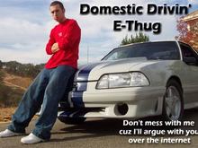 ap_domesticEthug.jpg