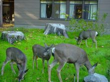 DSC03506.JPG