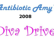 2008 DIVA DRIVE