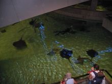 Vacation 2008 079.jpg