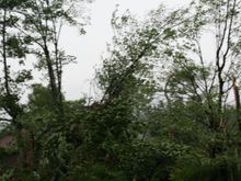 IMG_6377.JPG.jpg