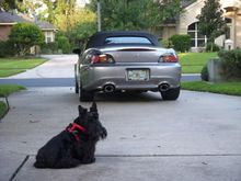 DSCN0633.jpg