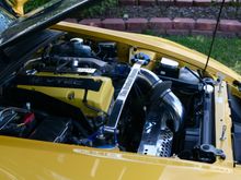 364492186_img_3709.jpg