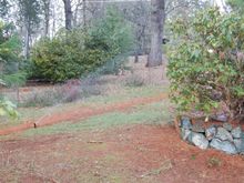 Last zone 1 sprinkler... Property line between our house and