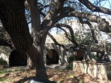 alamo 4.jpg