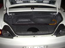 Trunk edit