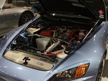 IMG_4850_Large_.jpg