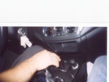 008_8.JPG