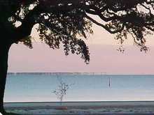 longbeach1.jpg
