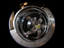 DSCN7796.JPG