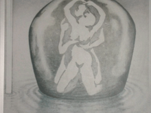 9 dolphins.png