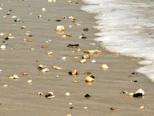 IMG_3036 sand.jpg