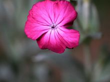 IMG_8873.JPG