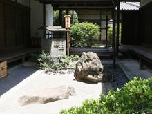 IMG_1225 (Large).JPG