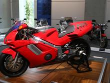 IMG_1573 (Large).JPG