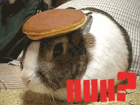 pancake3.gif