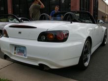 IMGP2566.JPG