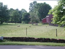 DSCN2356.jpg