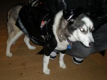 DSCN2158.JPG