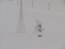 IMG_4473.JPG