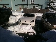 snow s dug.jpg