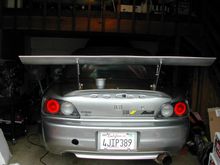 Wing 003.jpg
