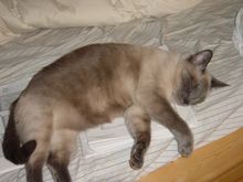 DSC01676.JPG