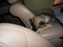 DSCN0395.JPG