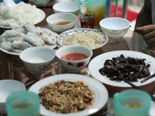 Lizard dinner 3.jpg