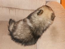 DSCN0430.JPG