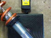 Bilstein front weight swift springs