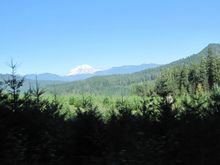 IMG_3445.JPG