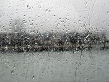 010 Out the window - Copy.jpg