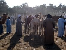 1253 Market scenes.JPG