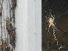 Phobia 8.jpg