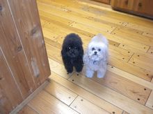 DSCN0317.JPG