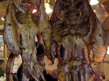 dried fish
