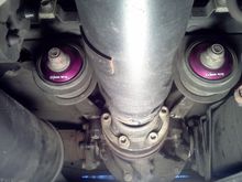 exedium diff collars 02