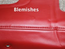 Leather Blemishes