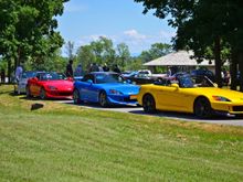 DSC 0896e