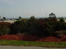 Dsc01029.jpg