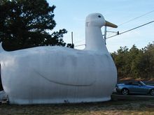 Big Duck from side.jpg