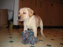 IMG_0022.JPG