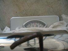 IMG_0136.jpg
