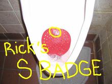 Sbadge.JPG