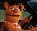 fozzie.jpg