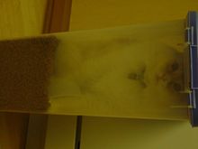 DSC03017.JPG