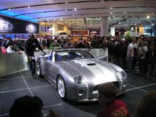 Shelby front.JPG