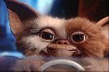 gizmo18t.jpg