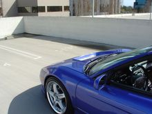 Picture 007.jpg